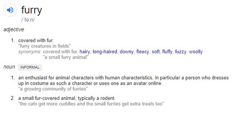 furry definition noun
